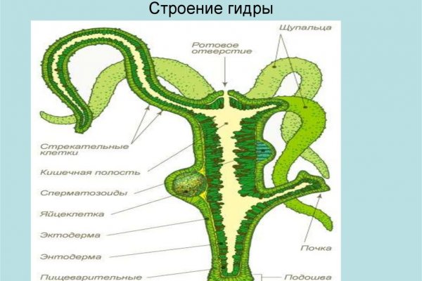 Kraken 15at сайт