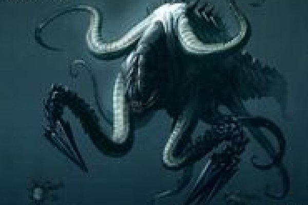 Kraken даркнет переходник