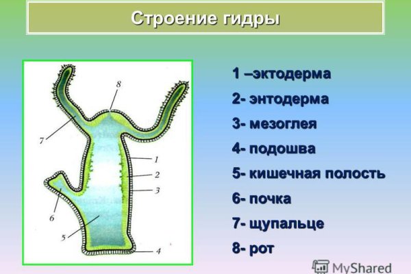 Кракен ссылка на тор официальная онион